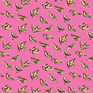 Vera - Feed the Birds