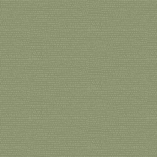 Moonscape - Ivy