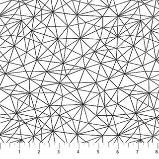 Basically Black & White - Geo Mesh-Positive