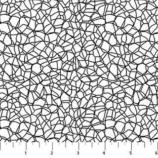 Basically Black & White - Voronoi-Positive