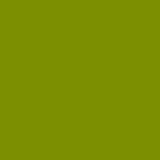 Century Solids Andover - Guacamole