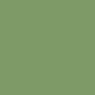 Century Solids Andover - Sage