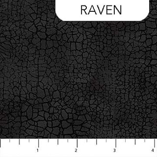 Bear Necessities - Raven