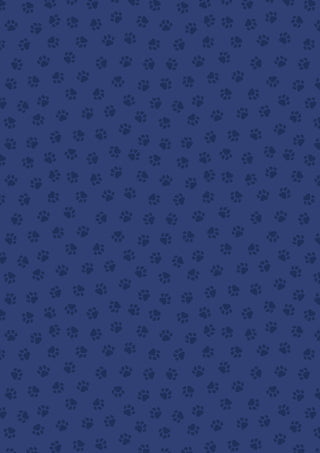 Perfect Bk Club - Blue Paws
