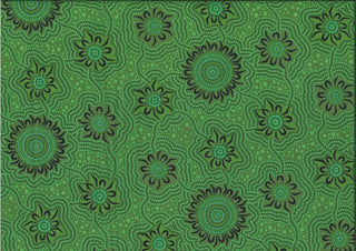 Caming Ground 2 - Aboriginal