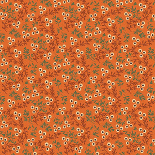 Of Old & New Seaberry - Carrot