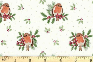 Merry Little Robin Redbreast