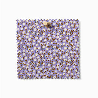 Seedling Drift - Evening Crocus