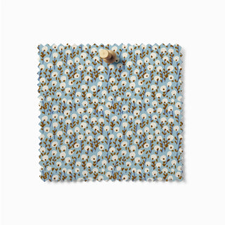 Seedling Drift - Glasshouse Shade