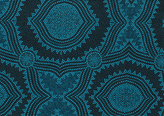 Seeds & Bush Spinifex Sky - Aboriginal