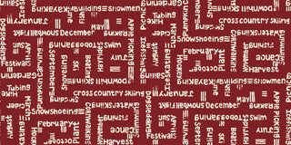 WISH25-LoveWI Word Maze in Red